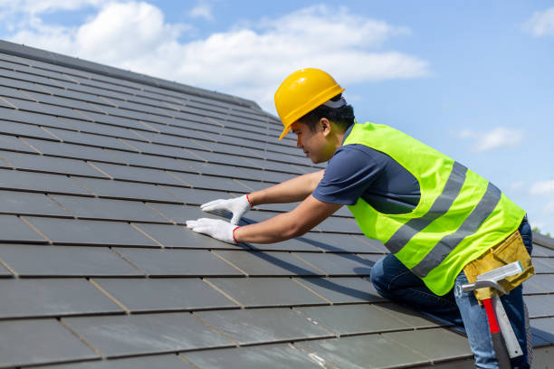 Best Roof Gutter Cleaning  in Missouri City, TX